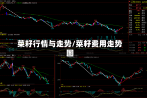 菜籽行情与走势/菜籽费用走势图
