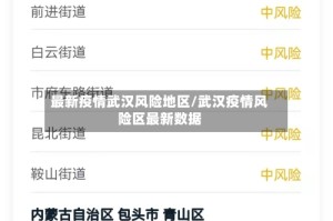 最新疫情武汉风险地区/武汉疫情风险区最新数据