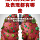 【遵义地区有没有疫情发生,遵义近来有几例新型肺炎】