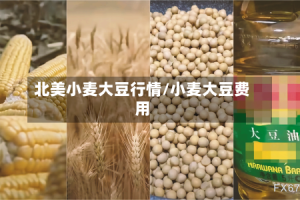 北美小麦大豆行情/小麦大豆费用