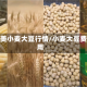 北美小麦大豆行情/小麦大豆费用