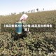 【棉花费用2015行情,棉花历年费用走势】