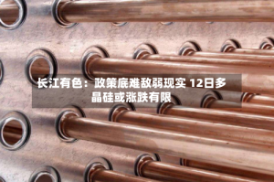 长江有色：政策底难敌弱现实 12日多晶硅或涨跌有限