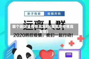 哪个地区是疫情高发期(哪里是疫情高发期)