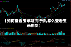 【如何查看玉米期货行情,怎么查看玉米期货】