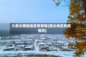 大西北哪些地区有疫情(西北地区有疫情吗)
