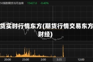 期货实时行情东方(期货行情交易东方财经)