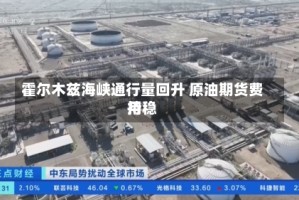 霍尔木兹海峡通行量回升 原油期货费用持稳