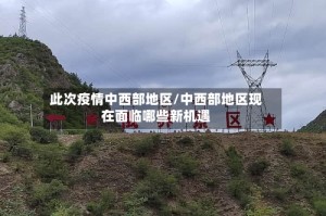 此次疫情中西部地区/中西部地区现在面临哪些新机遇