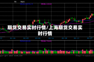 期货交易实时行情/上海期货交易实时行情