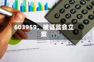 603959，被证监会立案