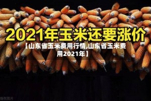 【山东省玉米费用行情,山东省玉米费用2021年】