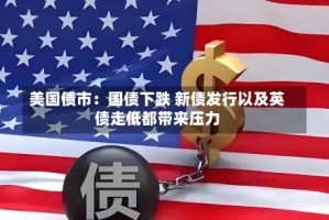 美国债市：国债下跌 新债发行以及英债走低都带来压力