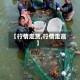 【行情走货,行情走高】