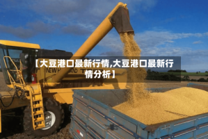 【大豆港口最新行情,大豆港口最新行情分析】