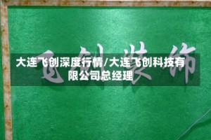 大连飞创深度行情/大连飞创科技有限公司总经理