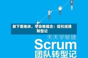 放下看地块，学会做组合：信托经理转型记