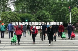 襄阳是否有疫情地区了/襄阳市疫情严重吗