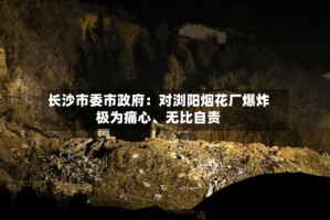 长沙市委市政府：对浏阳烟花厂爆炸极为痛心、无比自责