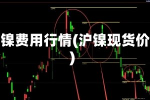 沪镍费用行情(沪镍现货价)