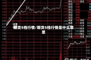 期货5档行情/期货5档行情是什么意思