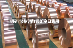 铜矿市场行情(铜矿今日费用)