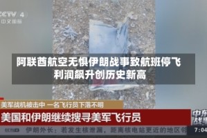阿联酋航空无惧伊朗战事致航班停飞 利润飙升创历史新高