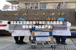 湖北宜昌疫情在哪个地区(湖北宜昌疫情在哪个地区最严重)