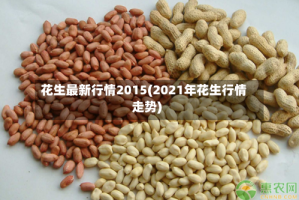 花生最新行情2015(2021年花生行情走势)