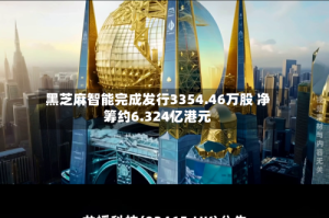 黑芝麻智能完成发行3354.46万股 净筹约6.324亿港元