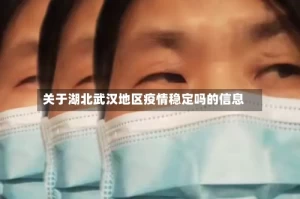 关于湖北武汉地区疫情稳定吗的信息