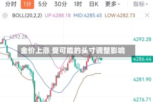 金价上涨 受可能的头寸调整影响