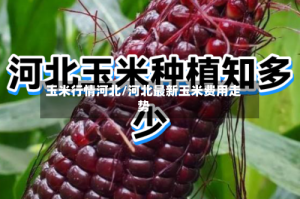 玉米行情河北/河北最新玉米费用走势
