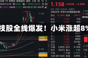 科技股全线爆发！小米涨超8%