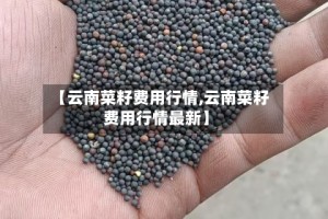 【云南菜籽费用行情,云南菜籽费用行情最新】