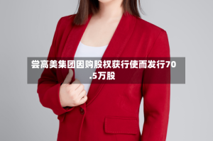 尝高美集团因购股权获行使而发行70.5万股