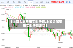 【上海金属费用实时行情,上海金属费用实时行情走势】