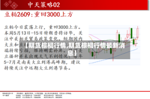 【期货棕榈行情,期货棕榈行情最新消息】
