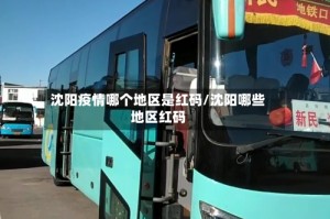 沈阳疫情哪个地区是红码/沈阳哪些地区红码