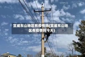 宣威东山地区有疫情吗(宣威东山地区有疫情吗今天)