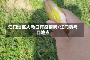 江门地区大马口有疫情吗/江门钓马口地点
