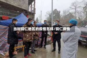 当时铜仁地区的疫情怎样/铜仁病情