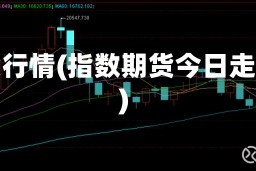 指货行情(指数期货今日走势)