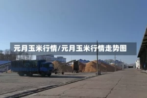 元月玉米行情/元月玉米行情走势图