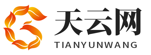 天云网