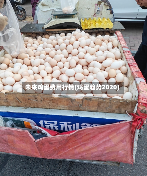未来鸡蛋费用行情(鸡蛋趋势2020)-第1张图片
