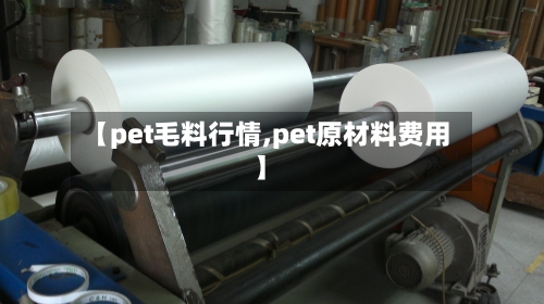 【pet毛料行情,pet原材料费用】-第1张图片