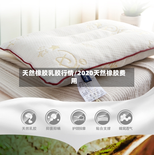 天然橡胶乳胶行情/2020天然橡胶费用-第1张图片