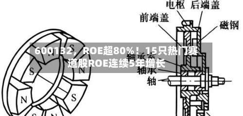 600132，ROE超80%！15只热门赛道股ROE连续5年增长-第1张图片