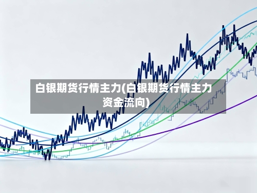 白银期货行情主力(白银期货行情主力资金流向)-第1张图片